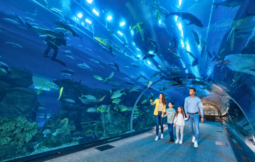 Dubai Aquarium Underwater Zoo