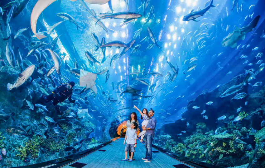 Dubai Aquarium zoo - Top Vision Tourism