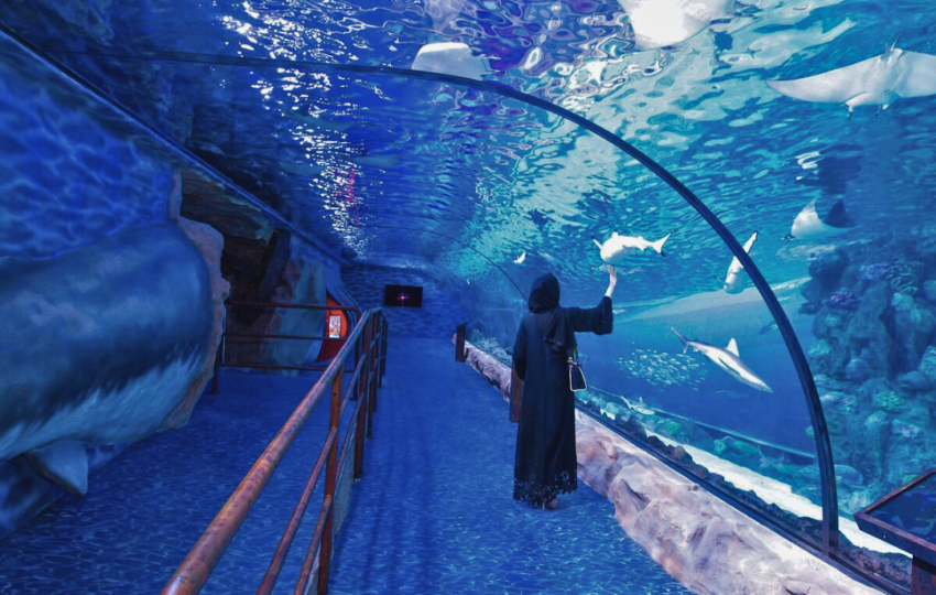 Underwater Zoo Dubai - Top Vision Tourism