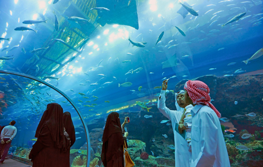 Dubai Mall Underwater Zoo