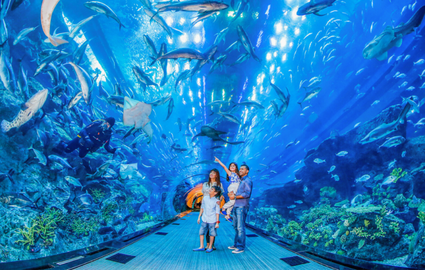 Dubai Aquarium Zoo
