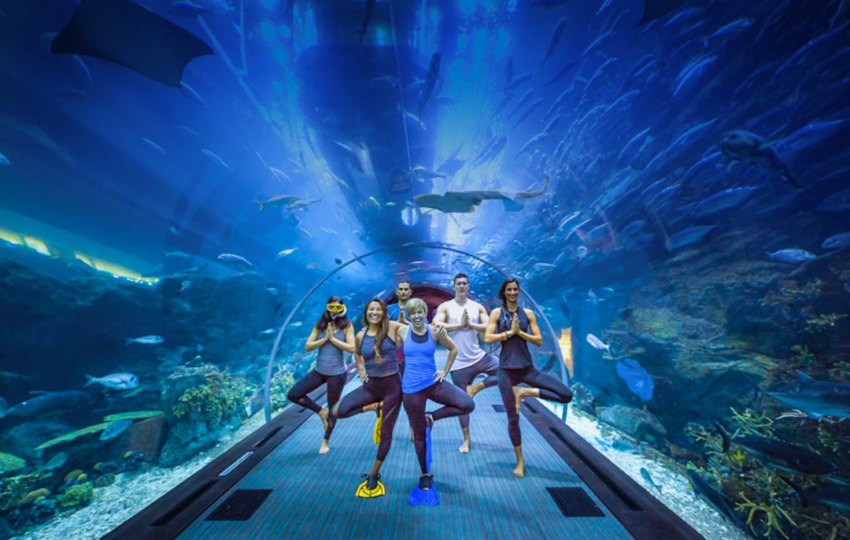 Dubai Aquarium Underwater park - Top Vision tourism