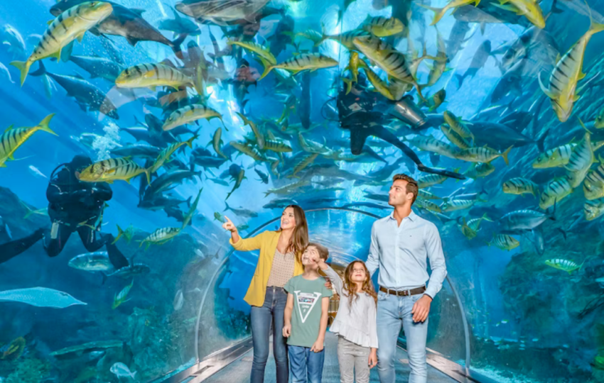 Underwater Zoo Dubai - Top Vision Tourism