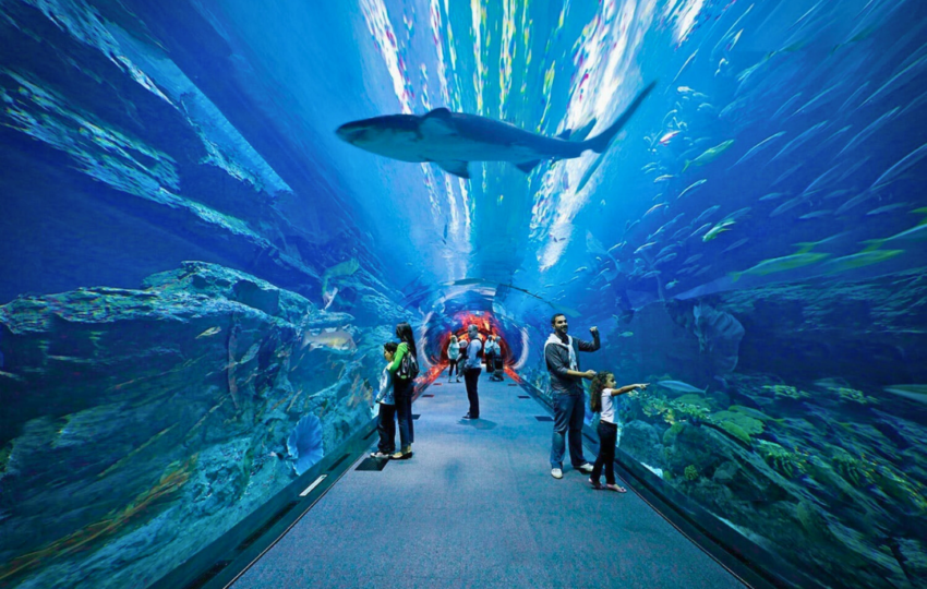 Dubai Aquarium - Top Vision Tourism