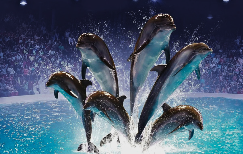 Dubai Dolphinarium