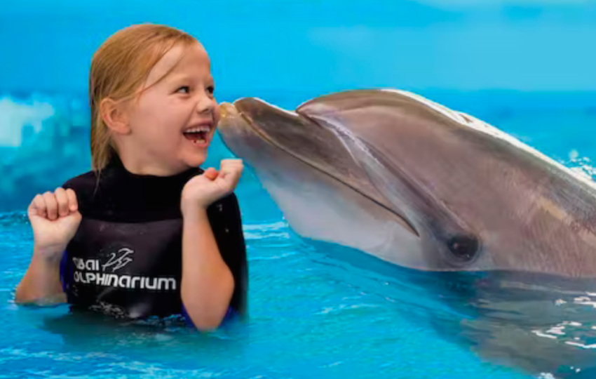 Dubai Dolphinarium show ticket - Top Vision Tourism